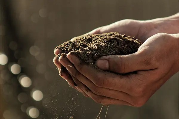 Rural Transition Alliance Programme