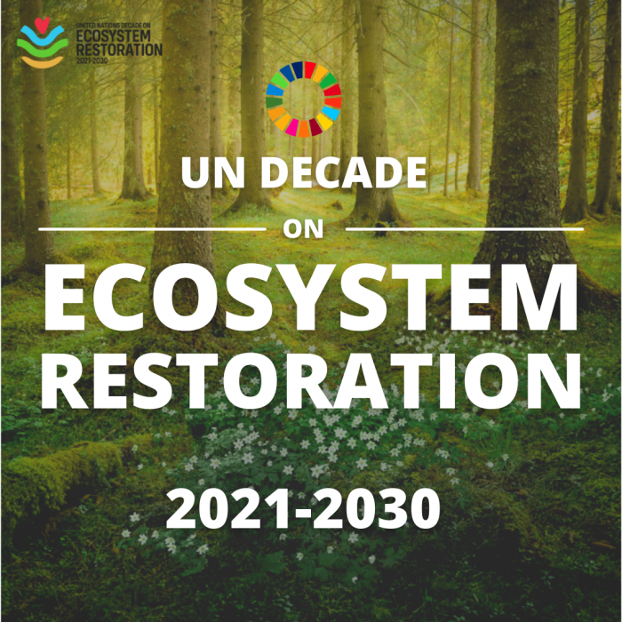UN Ecosystem Restoration